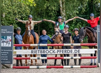 Praktikum und Ferien mit Pferd ,evtl, Ausbildung z.Pferdewirt Praktikum und Ferien mit Pferd ,evtl, Ausbildung z.Pferdewirt