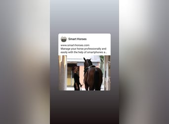 Verwalte Deine Pferde in der Smart-Horses APP Basic kostenlos