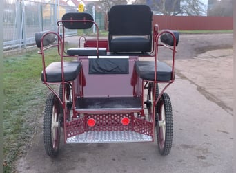 Neue Pony-u.Kleinpferdkutsche