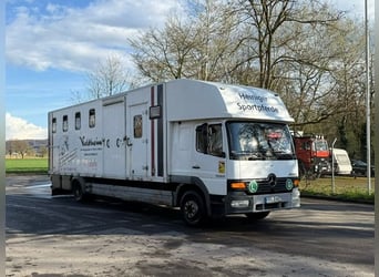 Pferdetransporte für 7 Pferde