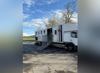 Pferdetransporte für 7 Pferde