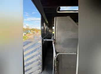 Pferdetransporte für 7 Pferde