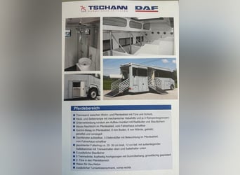 Pferdetransporter DAF XF410 Horsetruck Wohnmobil 