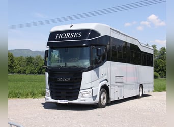 Pferdetransporter DAF XF410 Horsetruck Wohnmobil 