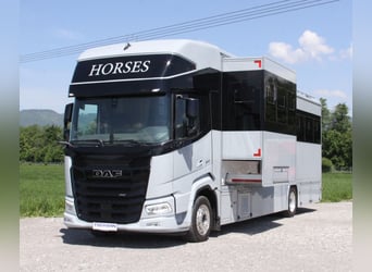 Pferdetransporter DAF XF410 Horsetruck Wohnmobil 