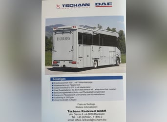 Pferdetransporter DAF XF410 Horsetruck Wohnmobil 
