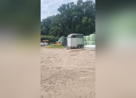 Humbaur Xantos 2er Pferdeanhänger mit Sattelkammer