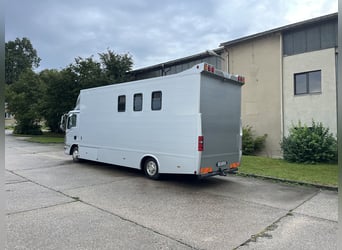 MAN TGL Tagesturniertransporter 4 Pferde 