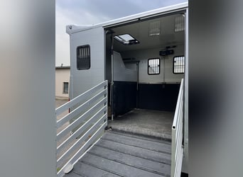 MAN TGL Tagesturniertransporter 4 Pferde 