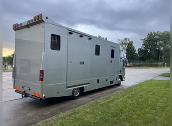 MAN TGL Tagesturniertransporter 4 Pferde 