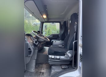 MAN TGL Tagesturniertransporter 4 Pferde 