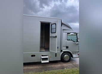 MAN TGL Tagesturniertransporter 4 Pferde 