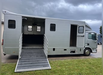 MAN TGL Tagesturniertransporter 4 Pferde 