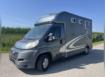 Pferdetransporteuer Peugeot Boxer