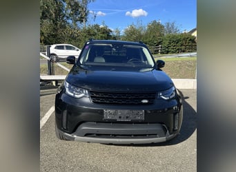 Stark im Zug, edel im Auftritt – Discovery für Pferdeanhänger