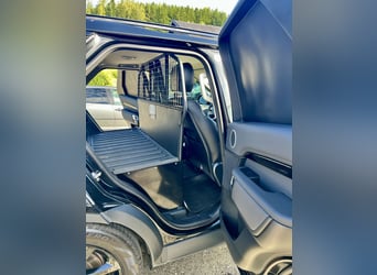 Stark im Zug, edel im Auftritt – Discovery für Pferdeanhänger