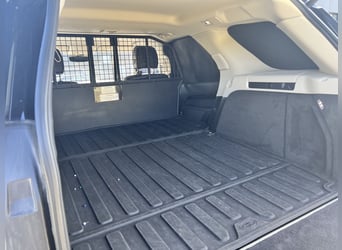 Stark im Zug, edel im Auftritt – Discovery für Pferdeanhänger