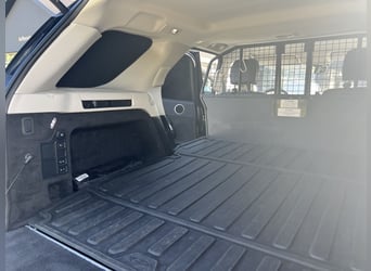 Stark im Zug, edel im Auftritt – Discovery für Pferdeanhänger