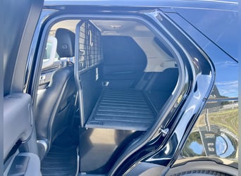 Stark im Zug, edel im Auftritt – Discovery für Pferdeanhänger