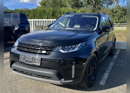 Stark im Zug, edel im Auftritt – Discovery für Pferdeanhänger