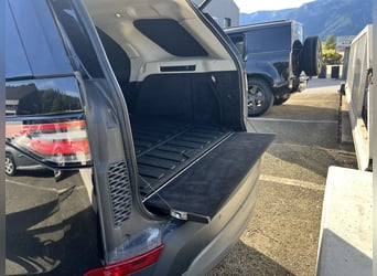 Stark im Zug, edel im Auftritt – Discovery für Pferdeanhänger