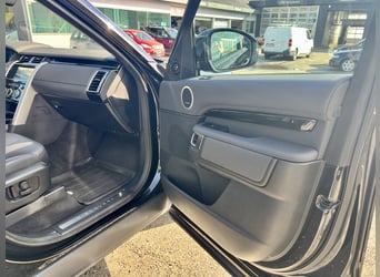 Stark im Zug, edel im Auftritt – Discovery für Pferdeanhänger