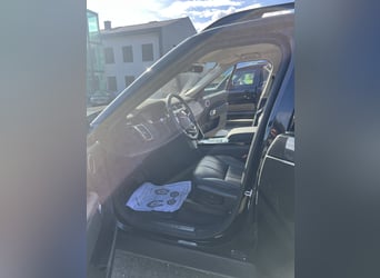 Stark im Zug, edel im Auftritt – Discovery für Pferdeanhänger