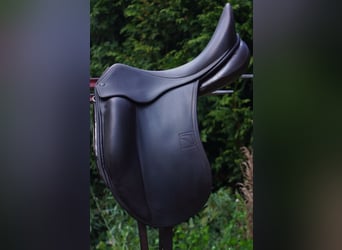 Luc Childeric Saddles – DNL and DSG Models