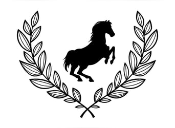 German Sport Horse, Stallion, 1 year