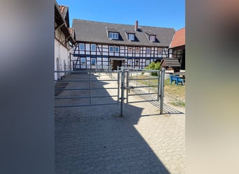384-25 Reiterhof mit ***Hotel und Pferde-Pensionsbetrieb in Niedersachsen 384-25 Reiterhof mit ***Hotel und Pferde-Pensionsbetrieb in Niedersachsen