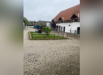 384-25 Reiterhof mit ***Hotel und Pferde-Pensionsbetrieb in Niedersachsen 384-25 Reiterhof mit ***Hotel und Pferde-Pensionsbetrieb in Niedersachsen
