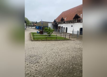 384-25 Reiterhof mit ***Hotel und Pferde-Pensionsbetrieb in Niedersachsen 384-25 Reiterhof mit ***Hotel und Pferde-Pensionsbetrieb in Niedersachsen