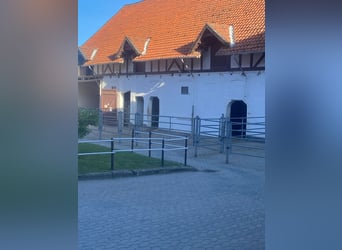 384-25 Reiterhof mit ***Hotel und Pferde-Pensionsbetrieb in Niedersachsen 384-25 Reiterhof mit ***Hotel und Pferde-Pensionsbetrieb in Niedersachsen
