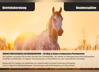 Exklusive Reitanlage am Niederrhein – Diskreter Verkauf Exklusive Reitanlage am Niederrhein – Diskreter Verkauf