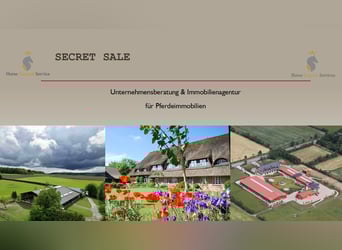 Exklusive Reitanlage am Niederrhein – Diskreter Verkauf Exklusive Reitanlage am Niederrhein – Diskreter Verkauf
