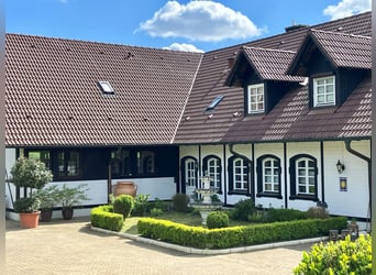 EXKLUSIVE REITANLAGE IM NECKAR-ODENWALD-KREIS - Objekt Nr. 385-25 EXKLUSIVE REITANLAGE IM NECKAR-ODENWALD-KREIS - Objekt Nr. 385-25