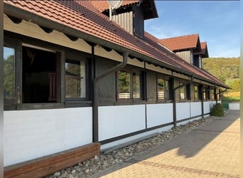 EXKLUSIVE REITANLAGE IM NECKAR-ODENWALD-KREIS - Objekt Nr. 385-25 EXKLUSIVE REITANLAGE IM NECKAR-ODENWALD-KREIS - Objekt Nr. 385-25