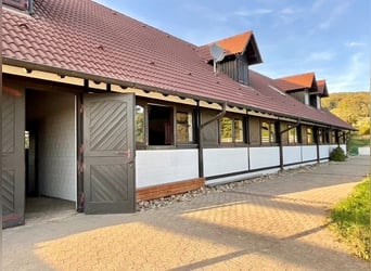 EXKLUSIVE REITANLAGE IM NECKAR-ODENWALD-KREIS - Objekt Nr. 385-25 EXKLUSIVE REITANLAGE IM NECKAR-ODENWALD-KREIS - Objekt Nr. 385-25