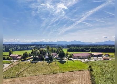 Exklusiver Pferdebetrieb im Chiemgau - PREIS AUF ANFRAGE Exklusiver Pferdebetrieb im Chiemgau - PREIS AUF ANFRAGE