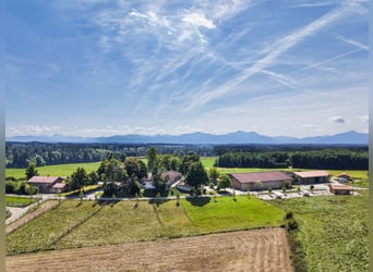 Exklusiver Pferdebetrieb im Chiemgau - PREIS AUF ANFRAGE Exklusiver Pferdebetrieb im Chiemgau - PREIS AUF ANFRAGE