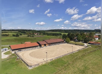 Exklusiver Pferdebetrieb im Chiemgau - PREIS AUF ANFRAGE Exklusiver Pferdebetrieb im Chiemgau - PREIS AUF ANFRAGE