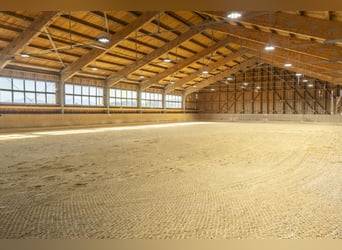 Exklusiver Pferdebetrieb im Chiemgau - PREIS AUF ANFRAGE Exklusiver Pferdebetrieb im Chiemgau - PREIS AUF ANFRAGE