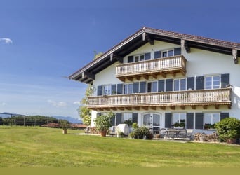 Exklusiver Pferdebetrieb im Chiemgau - PREIS AUF ANFRAGE Exklusiver Pferdebetrieb im Chiemgau - PREIS AUF ANFRAGE