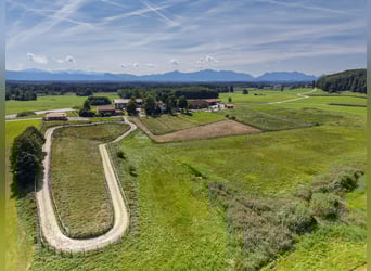 Exklusiver Pferdebetrieb im Chiemgau - PREIS AUF ANFRAGE Exklusiver Pferdebetrieb im Chiemgau - PREIS AUF ANFRAGE