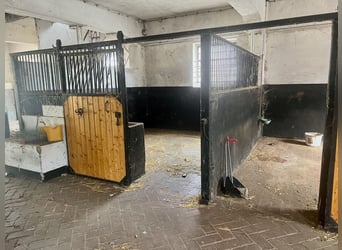 Freistehendes Gutshaus mit hochwertigen Nebengebäuden Freistehendes Gutshaus mit hochwertigen Nebengebäuden