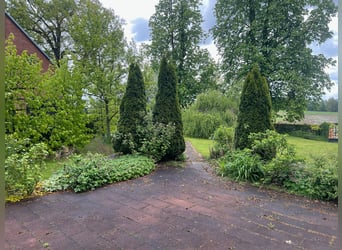 Freistehendes Gutshaus mit hochwertigen Nebengebäuden Freistehendes Gutshaus mit hochwertigen Nebengebäuden