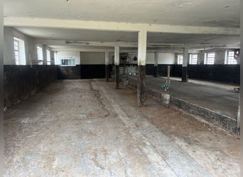 Freistehendes Gutshaus mit hochwertigen Nebengebäuden Freistehendes Gutshaus mit hochwertigen Nebengebäuden
