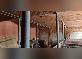 Pferdehof mit historischem Wohnensemble in der Mecklenburgischen Schweiz Pferdehof mit historischem Wohnensemble in der Mecklenburgischen Schweiz