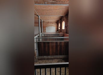 Pferdehof mit historischem Wohnensemble in der Mecklenburgischen Schweiz Pferdehof mit historischem Wohnensemble in der Mecklenburgischen Schweiz