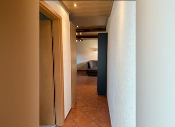 Schöne 1,5-Zimmer-Wohnung auf idyllischem Pferdehof zu vermieten Schöne 1,5-Zimmer-Wohnung auf idyllischem Pferdehof zu vermieten